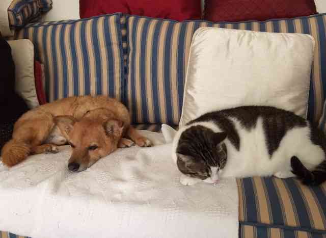Juli and Geri (Gerónimo) 'chilling out' on the settee together..